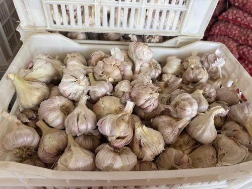 Egyptian second-grade garlic – 50mm+ – packed in 20kg sacks – by Compass Egypt