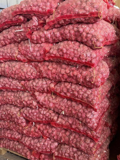 Egyptian second-grade garlic – 30mm+ – packed in 20kg sacks – by Compass Egypt
