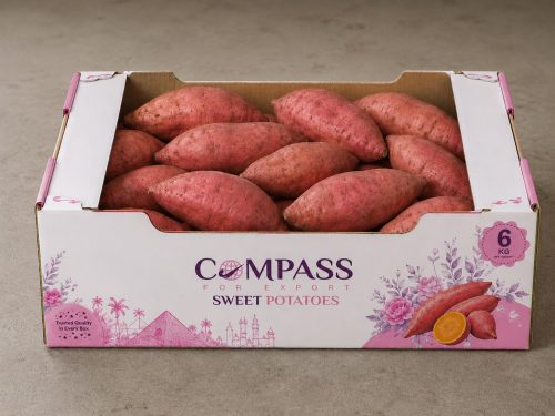 Fresh Sweet Potatoes from Egypt | Compass Export