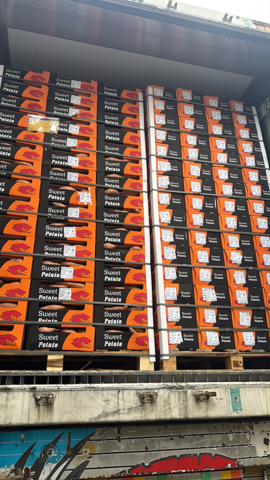 Fresh Sweet Potatoes from Egypt | Premium Quality - Image 5