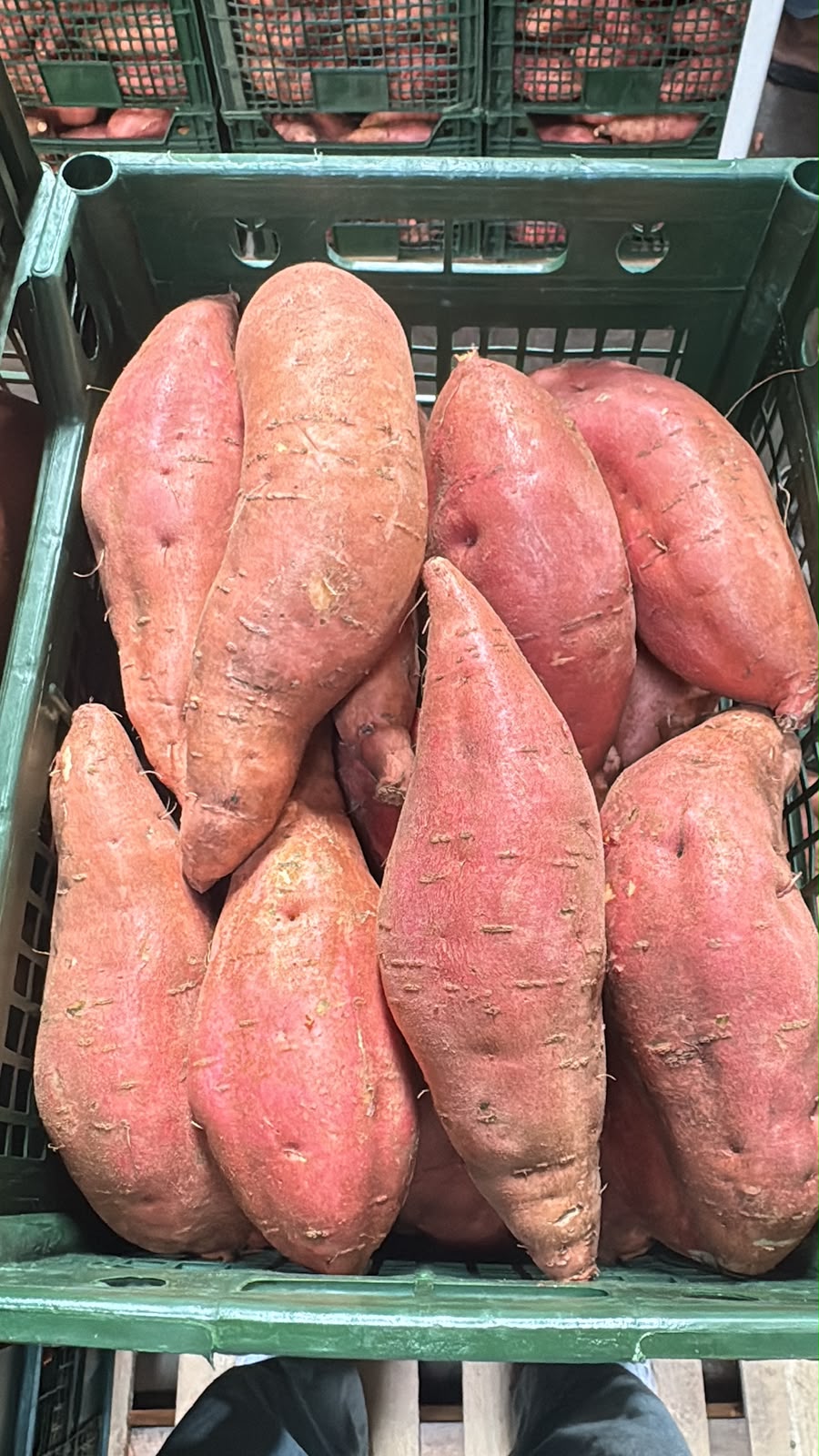Fresh Sweet Potatoes from Egypt | Premium Quality - Image 4